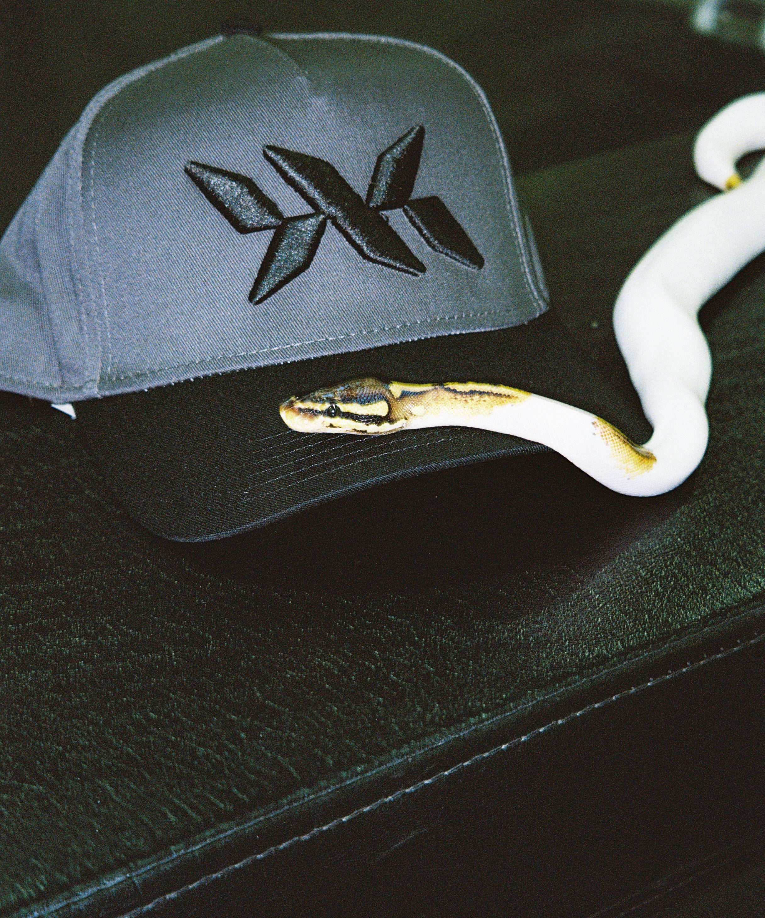 DNA Strand Snapback Hat – Men’s Adjustable Gym & Streetwear Cap | IAC Lyfestyle